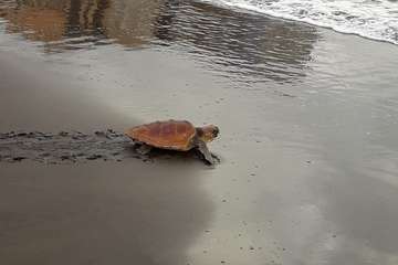 Ruta por la costa en memoria de José Luis González Ruano (Foto Ildefonso Rodríguez y TA)
